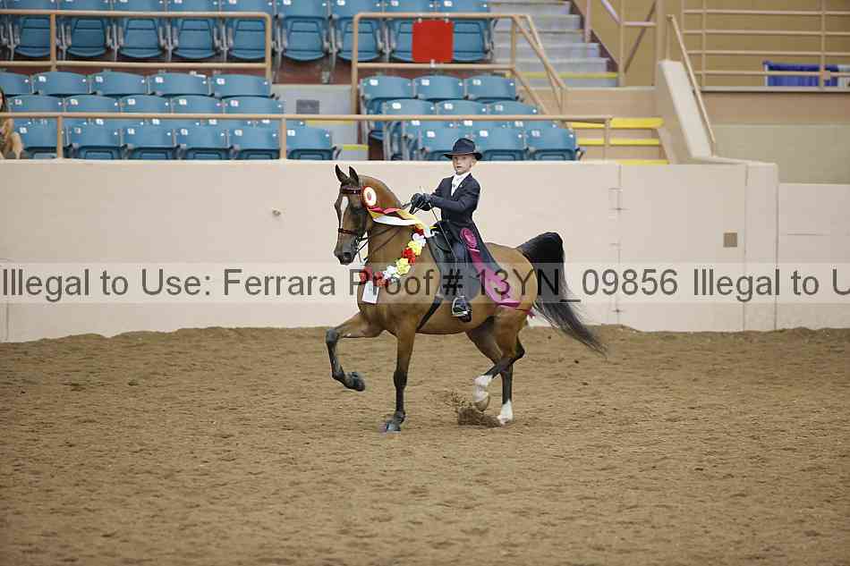 Proof 13yn_09856