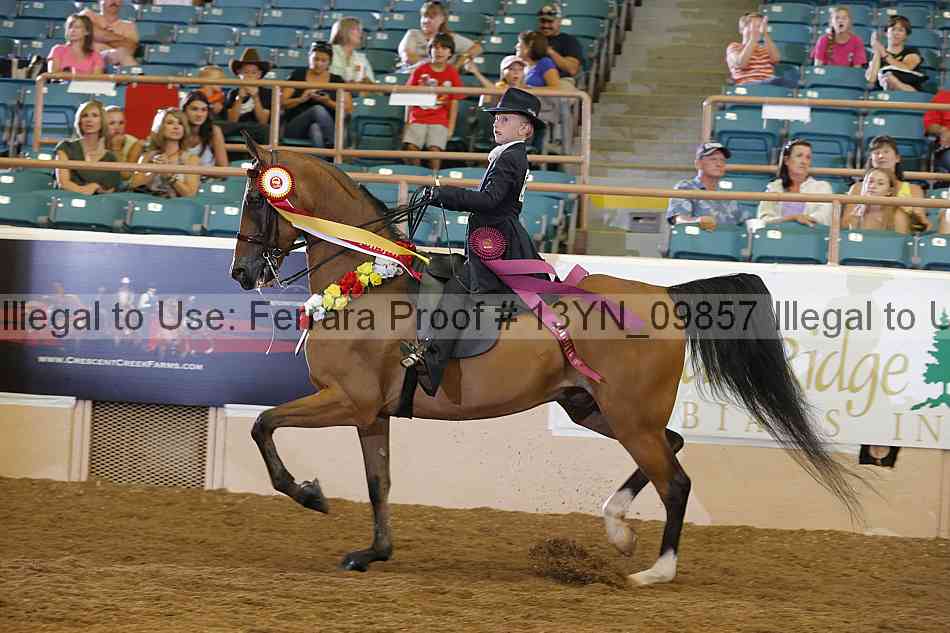 Proof 13yn_09857