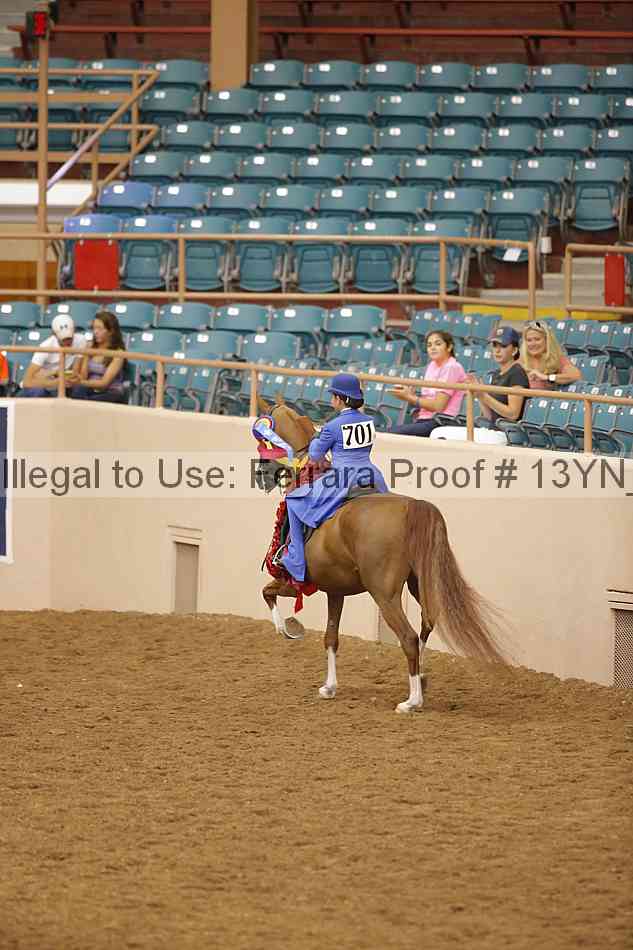 Proof 13yn_09858