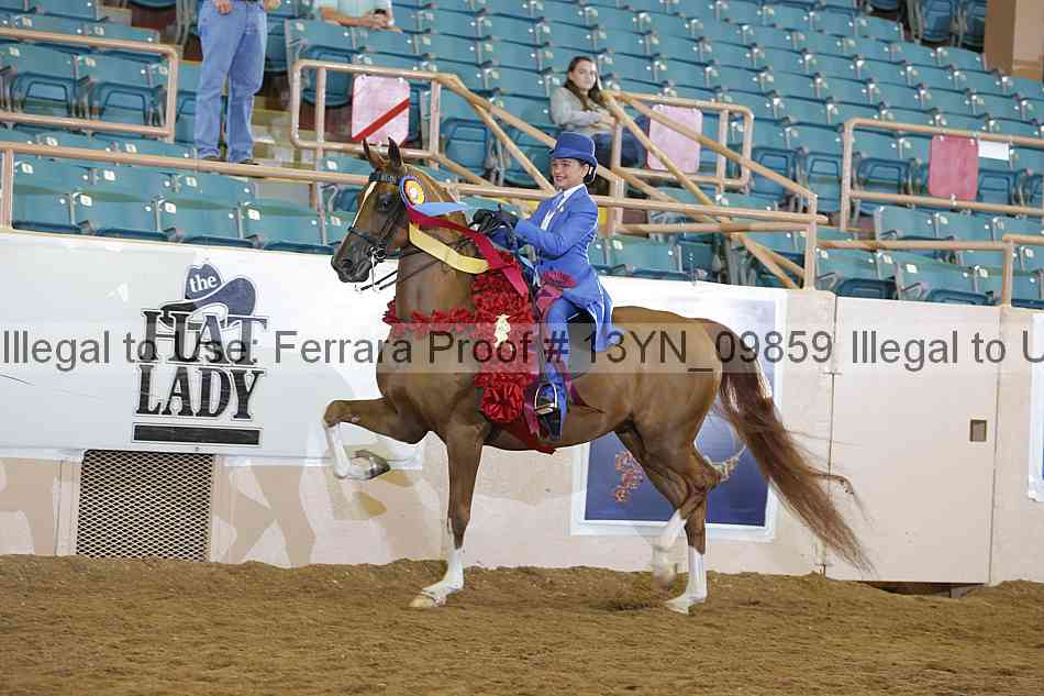 Proof 13yn_09859