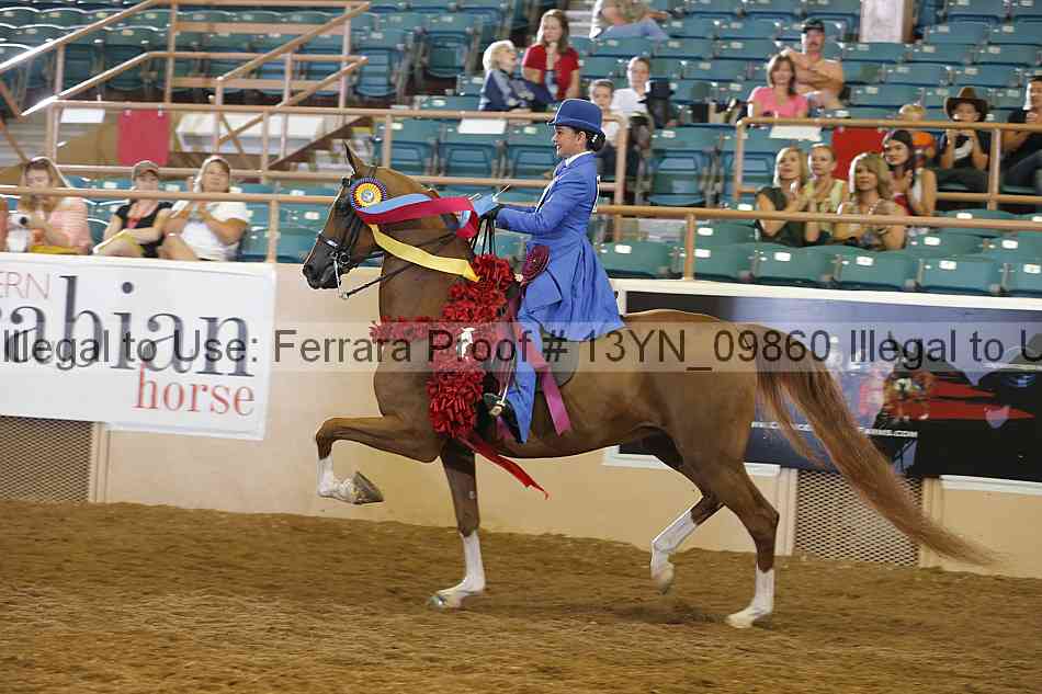 Proof 13yn_09860