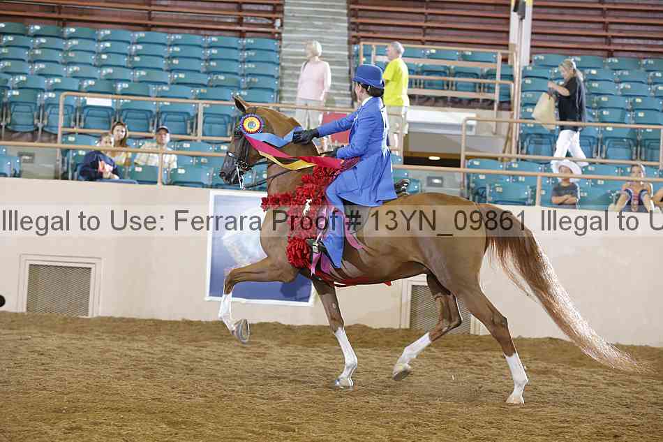 Proof 13yn_09861