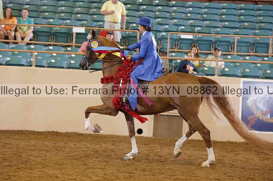 Proof 13yn_09862