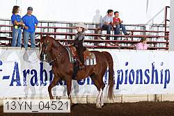 13yn_04521 proof