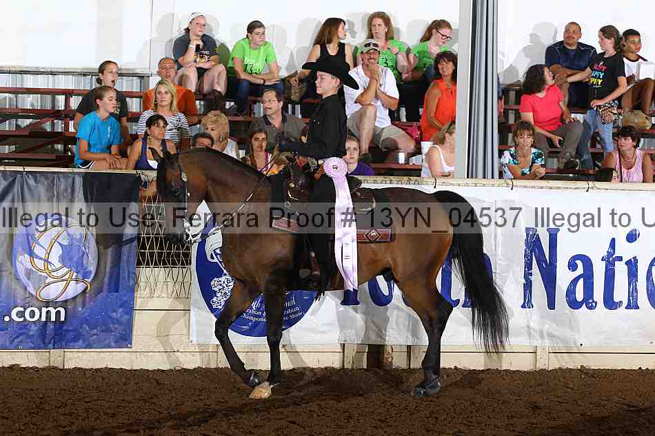 Proof 13yn_04537