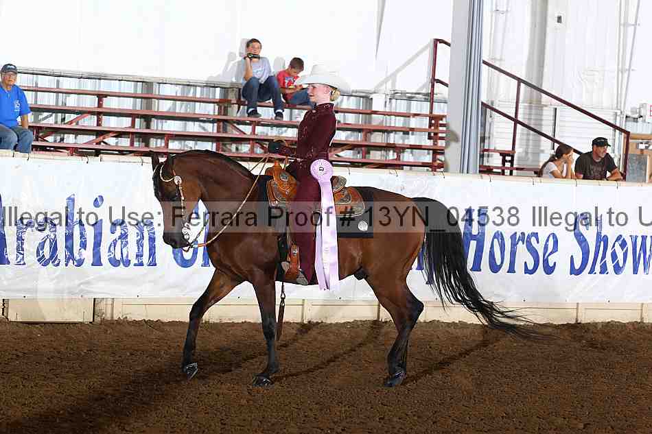 Proof 13yn_04538