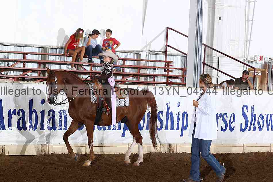 Proof 13yn_04544