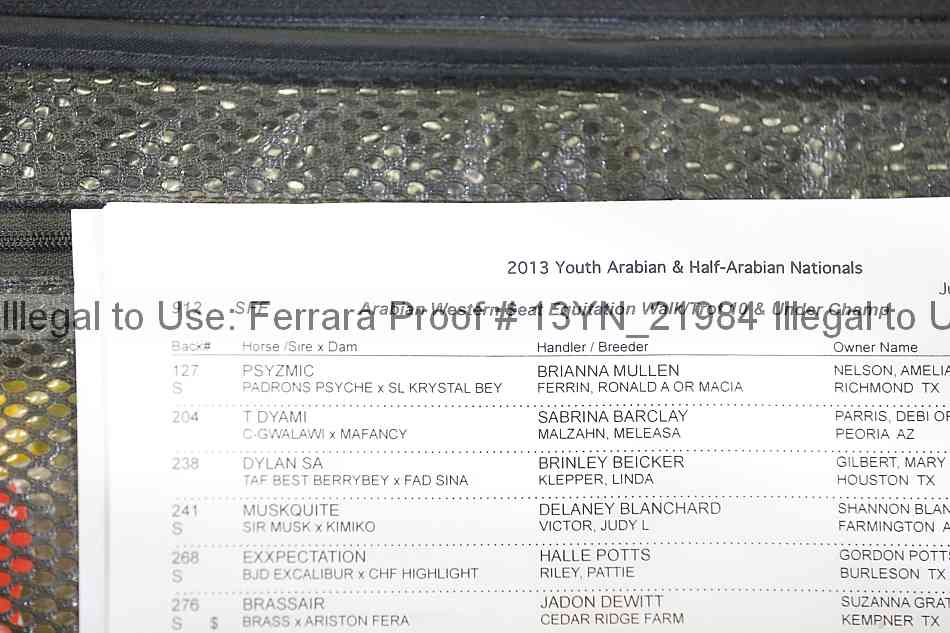 Proof 13yn_21984