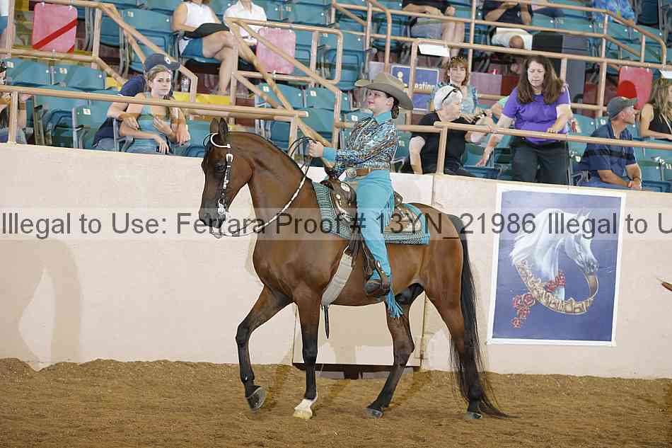 Proof 13yn_21986