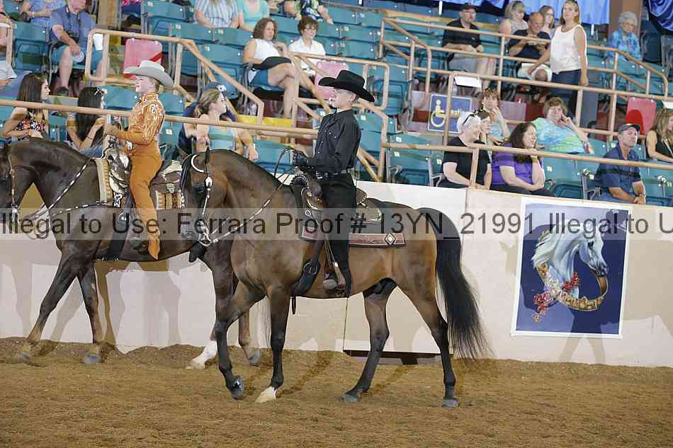 Proof 13yn_21991
