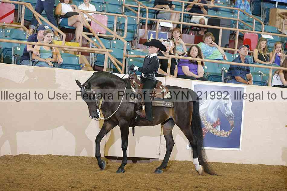 Proof 13yn_21992