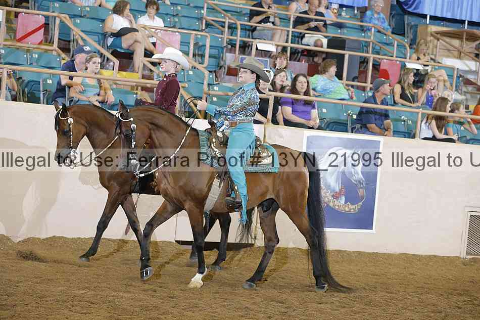 Proof 13yn_21995