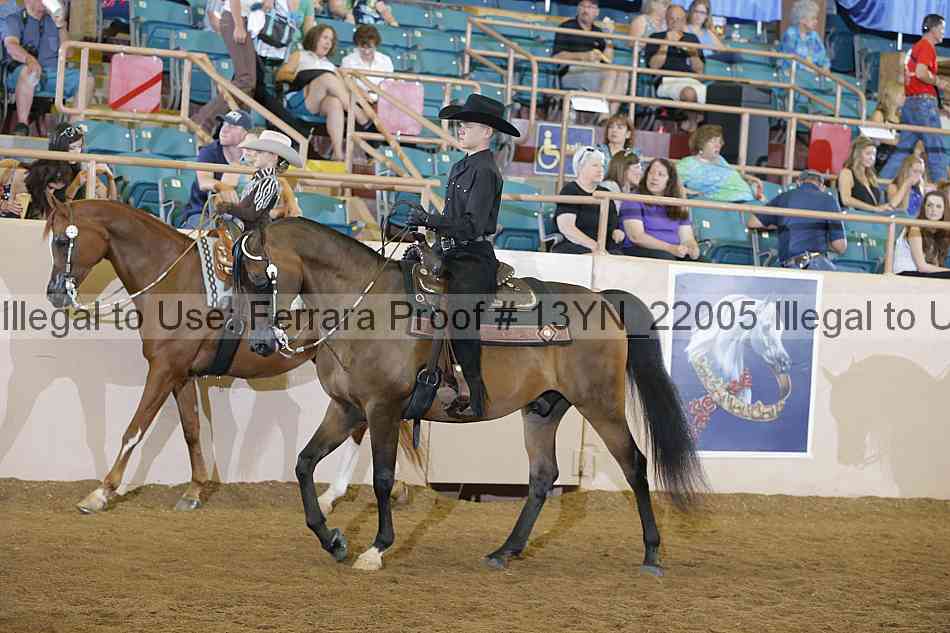 Proof 13yn_22005