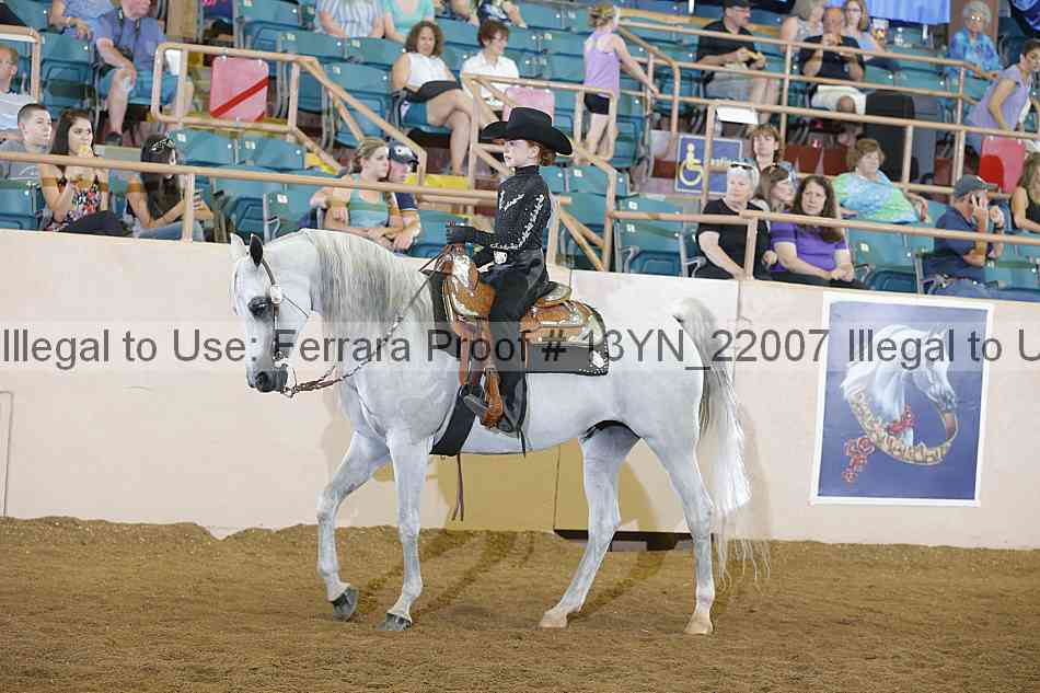 Proof 13yn_22007