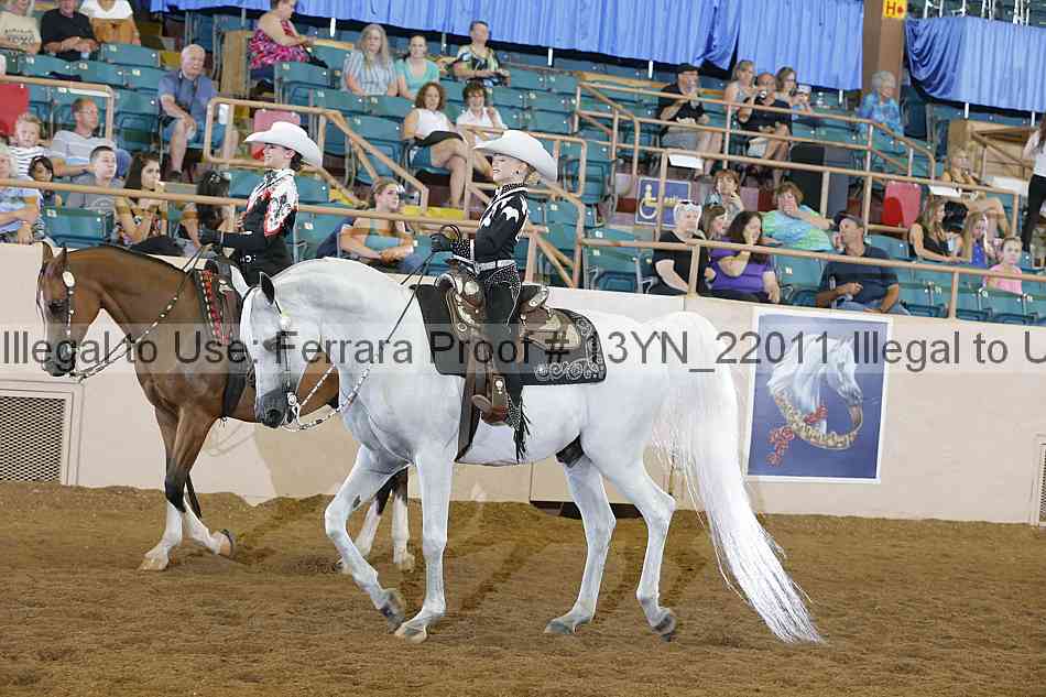 Proof 13yn_22011