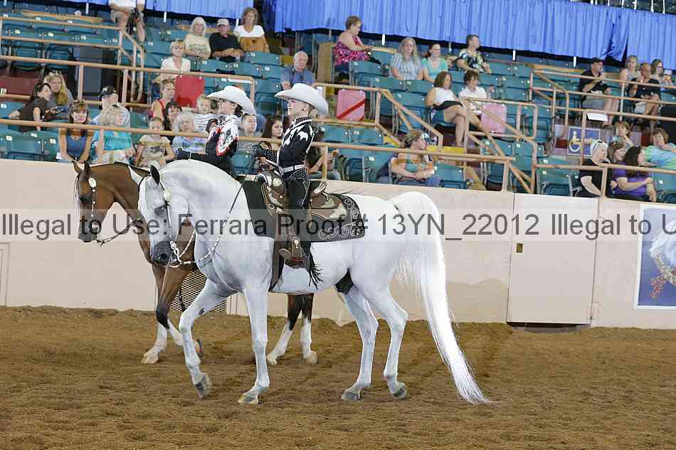 Proof 13yn_22012