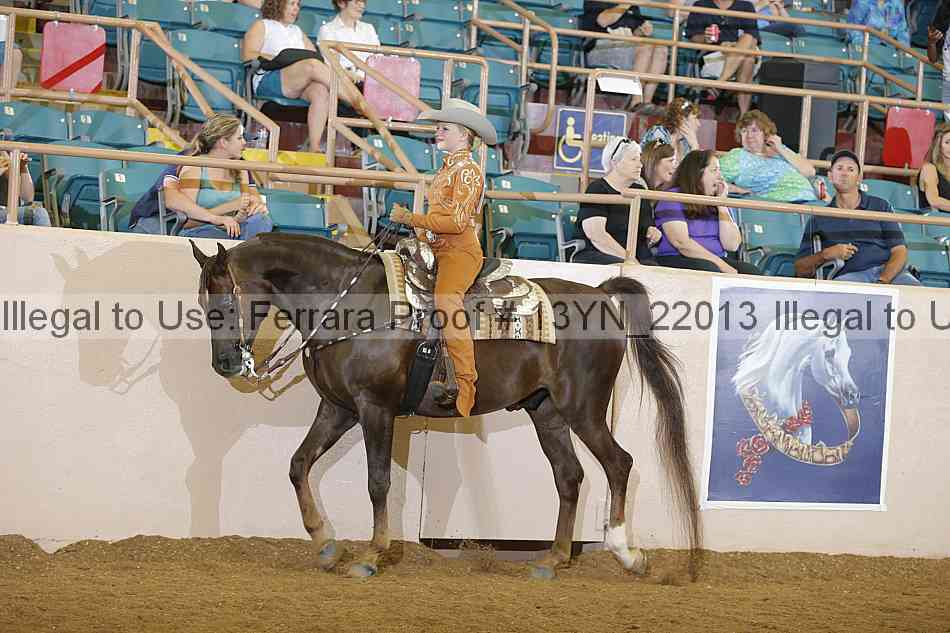 Proof 13yn_22013