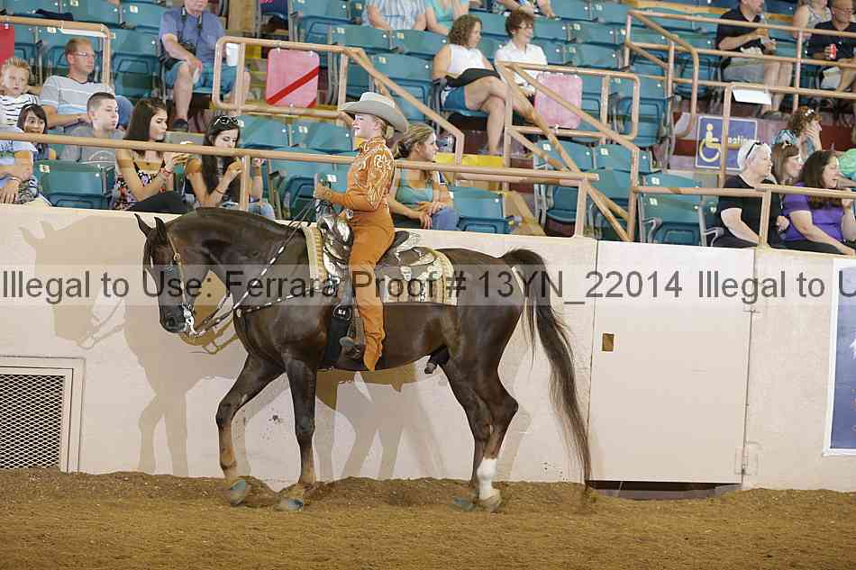Proof 13yn_22014