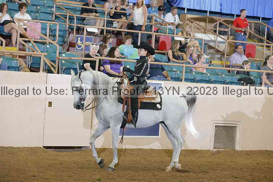 Proof 13yn_22028