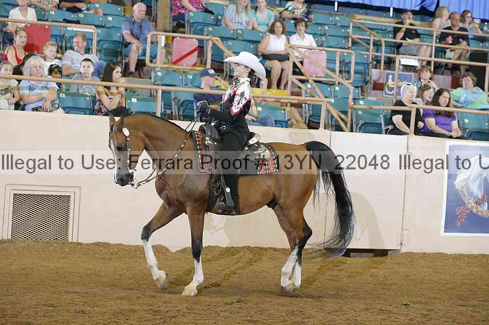Proof 13yn_22048