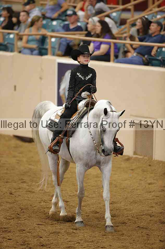 Proof 13yn_22058