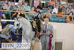 13yn_22085 proof