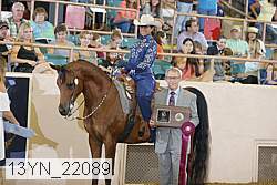 13yn_22089 proof