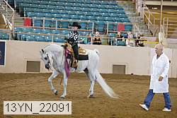 13yn_22091 proof