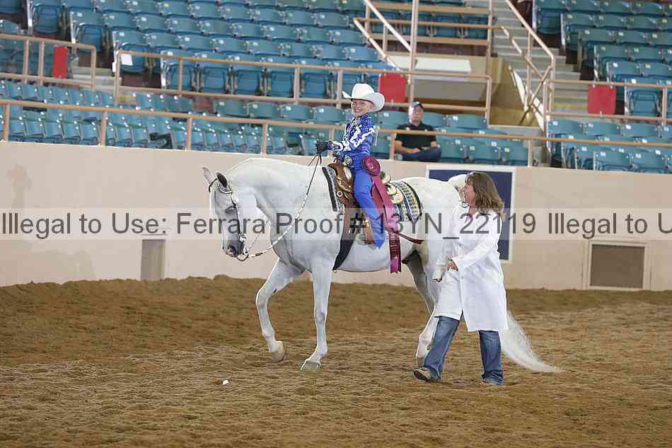 Proof 13yn_22119
