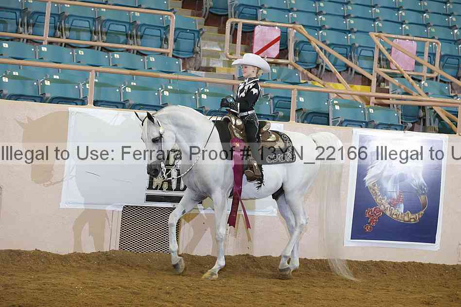Proof 13yn_22166