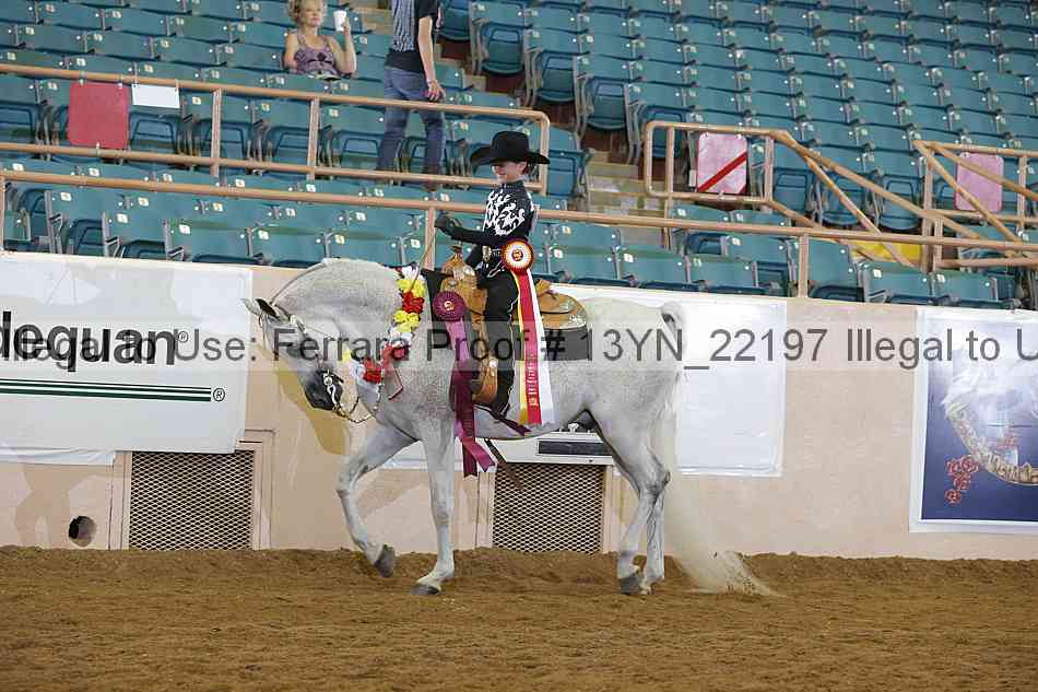 Proof 13yn_22197