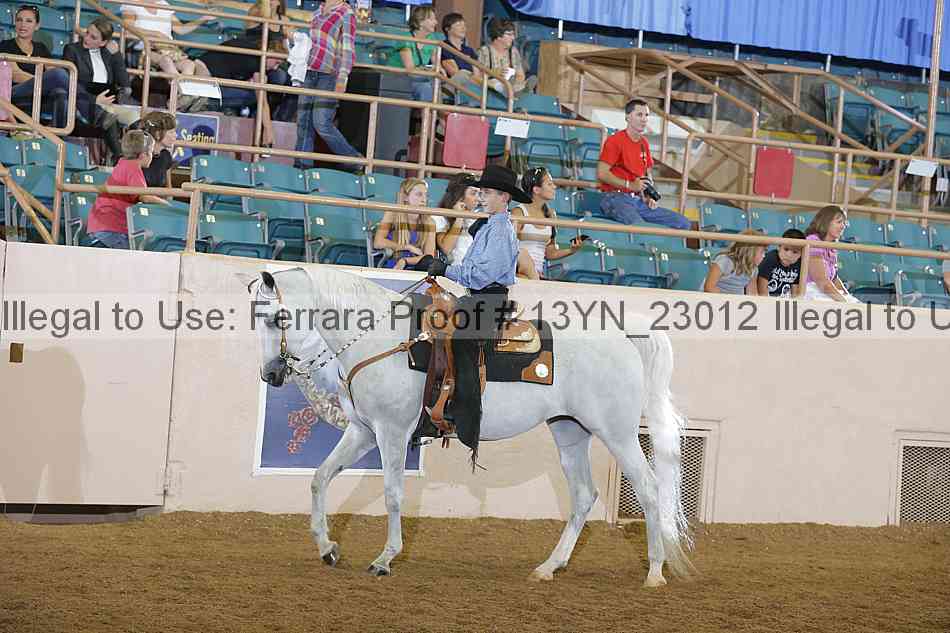 Proof 13yn_23012