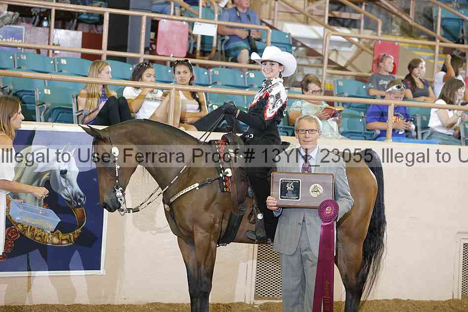 Proof 13yn_23055