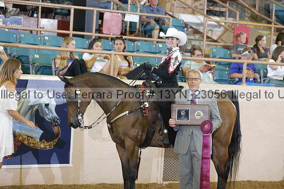 Proof 13yn_23056