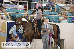 13yn_23058 proof