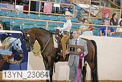 13yn_23064 proof