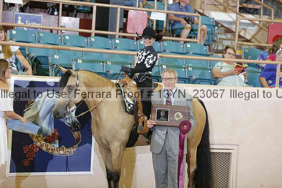 Proof 13yn_23067