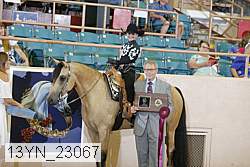13yn_23067 proof