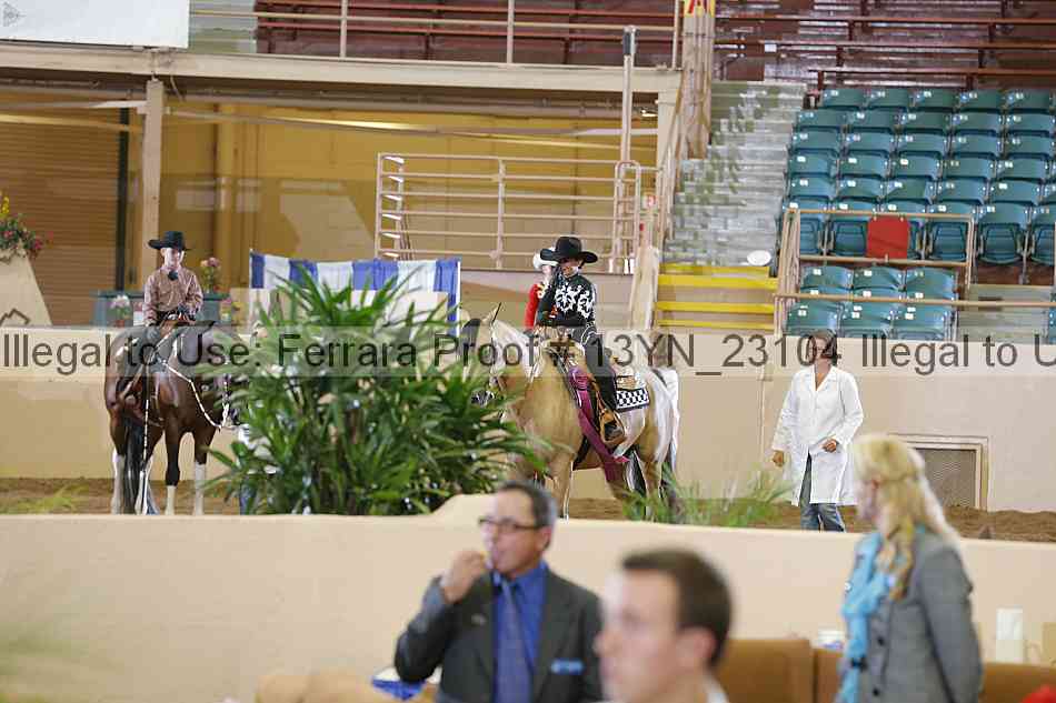 Proof 13yn_23104