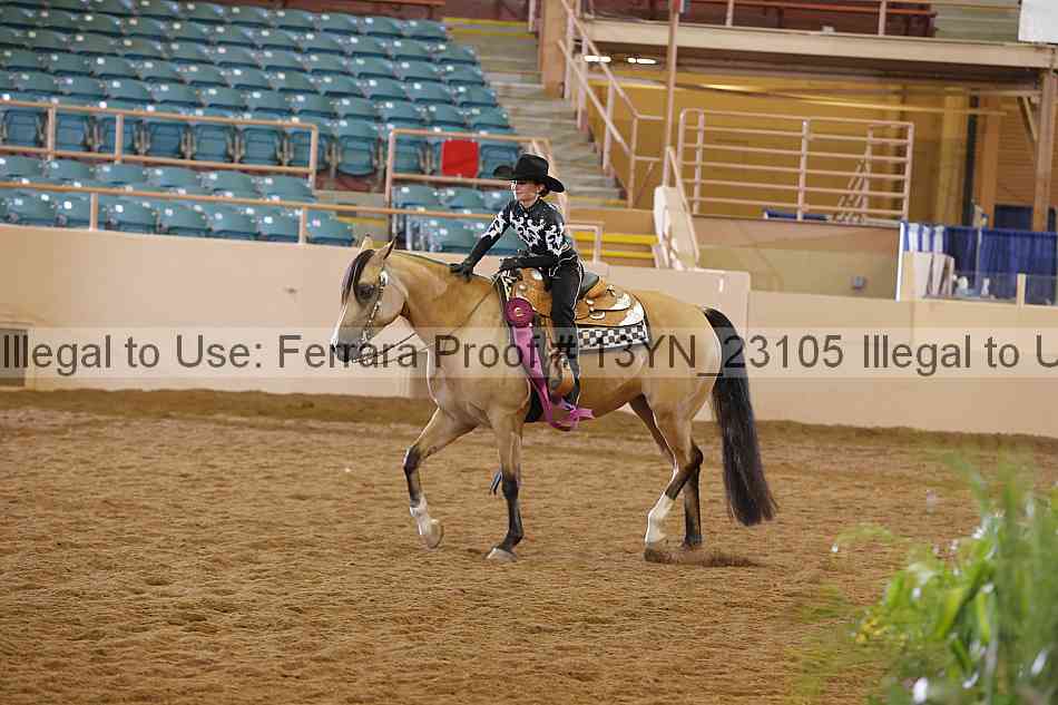 Proof 13yn_23105