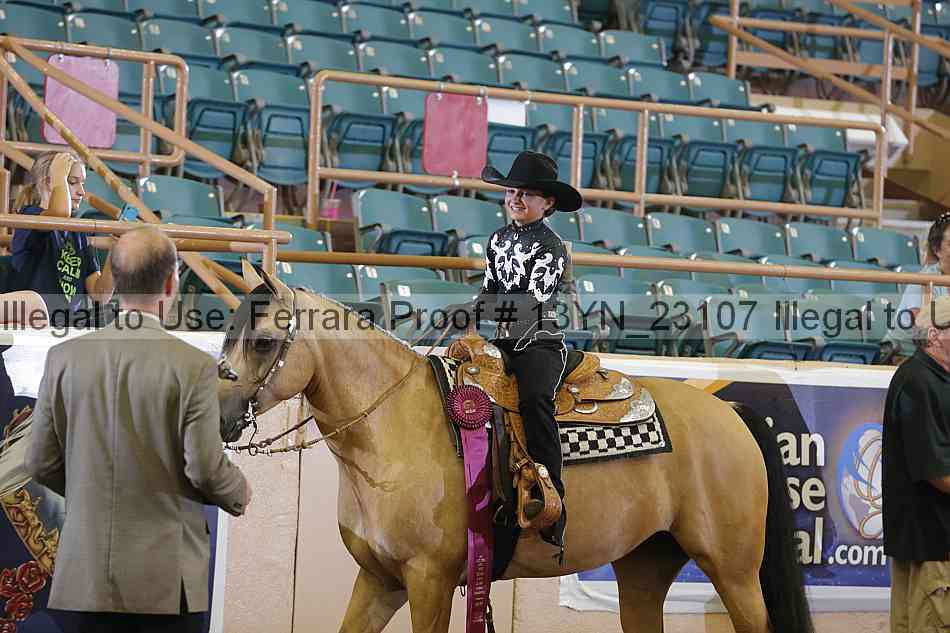 Proof 13yn_23107