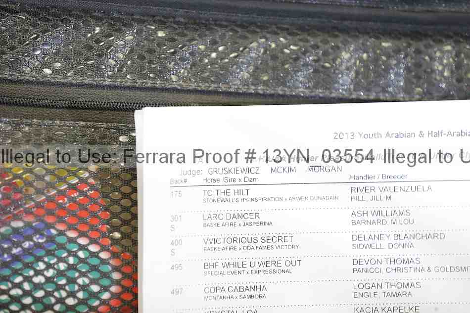 Proof 13yn_03554