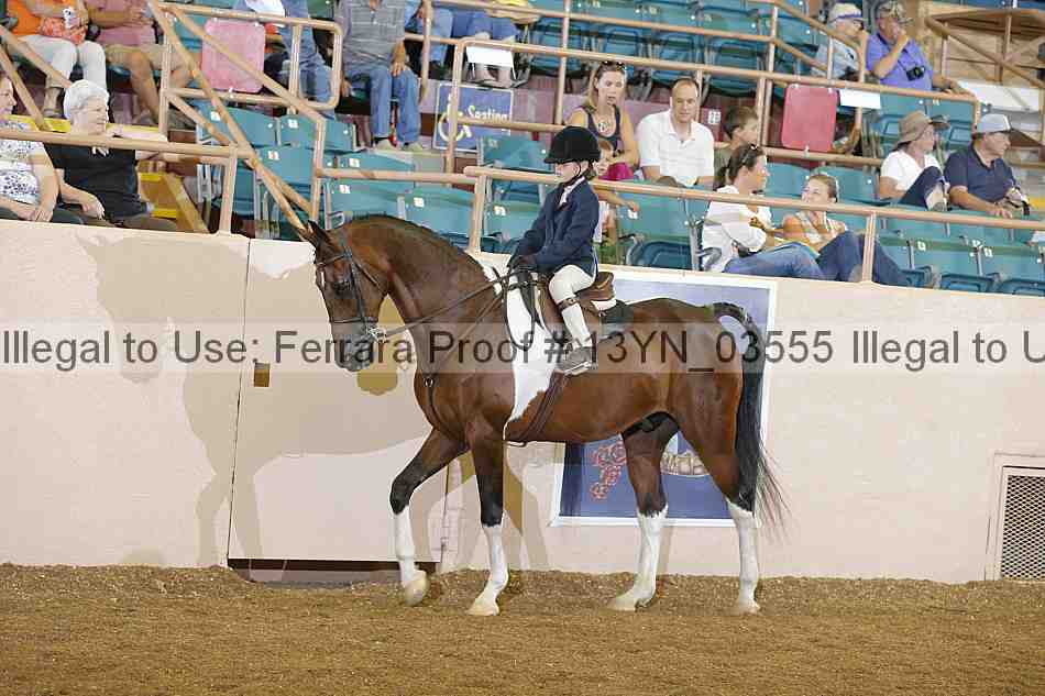 Proof 13yn_03555