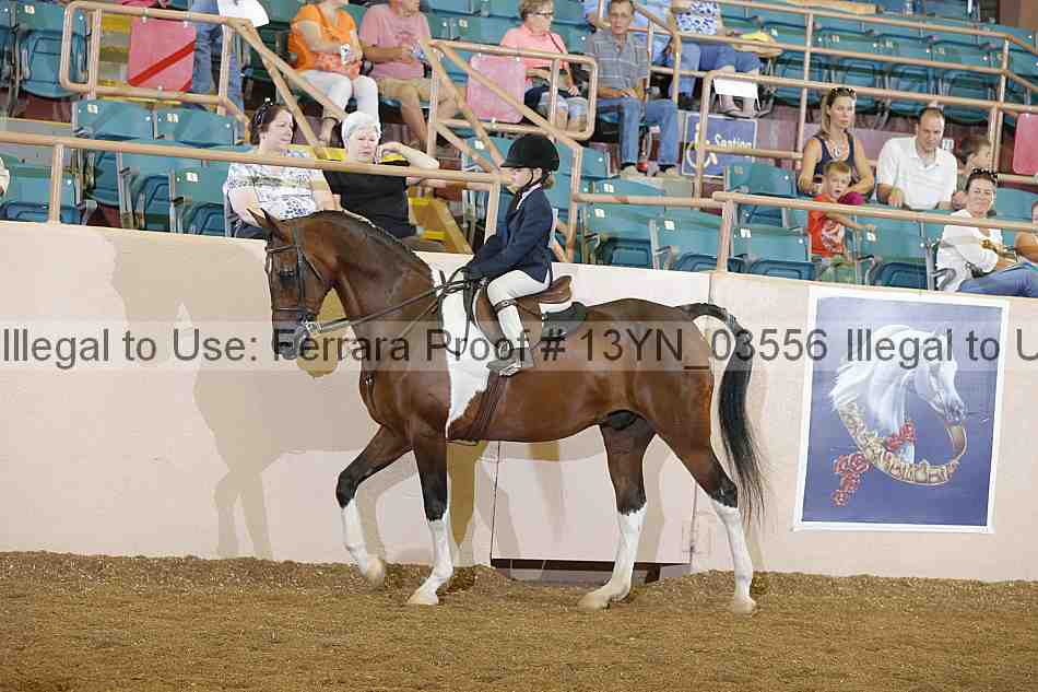 Proof 13yn_03556