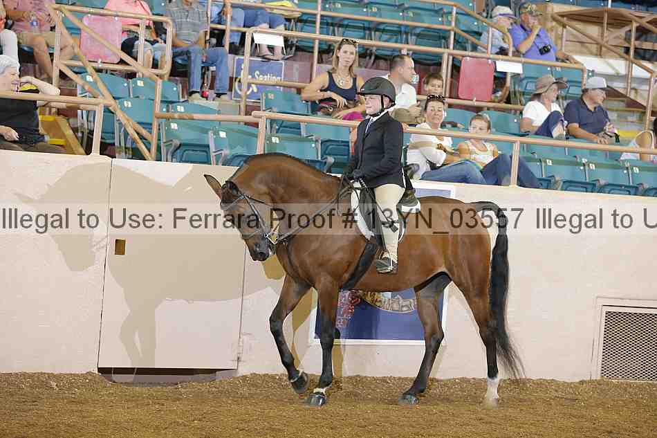 Proof 13yn_03557