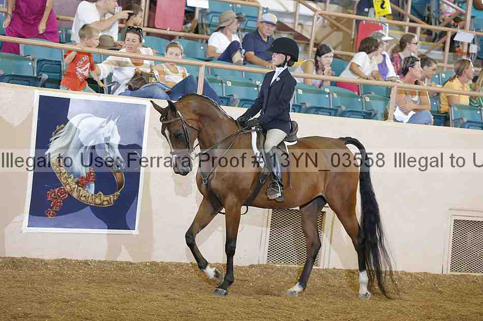 Proof 13yn_03558