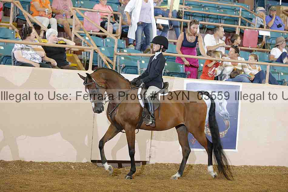 Proof 13yn_03559