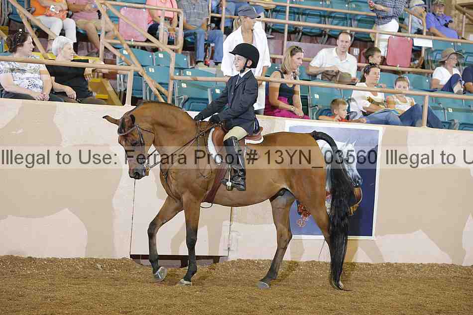 Proof 13yn_03560