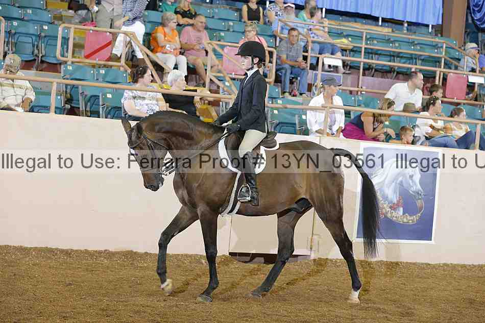 Proof 13yn_03561