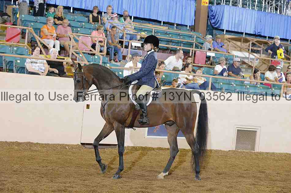 Proof 13yn_03562